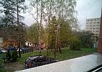Borovina