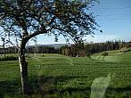 Pacov