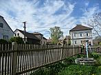 Třibřichy