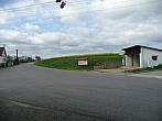 Třibřichy