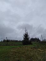 Skalité