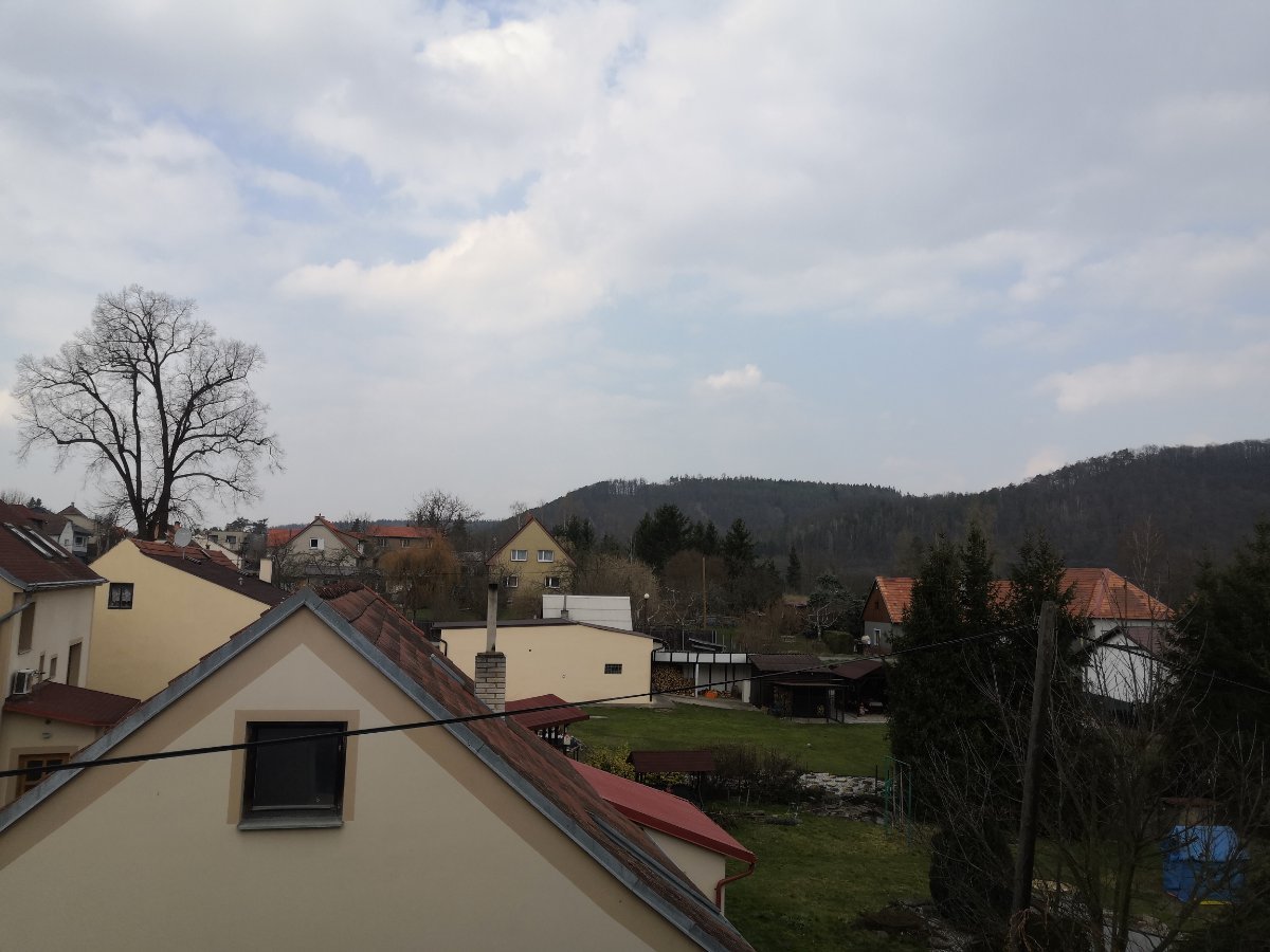 Chrustenice