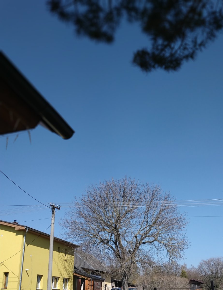 Nezbavětice