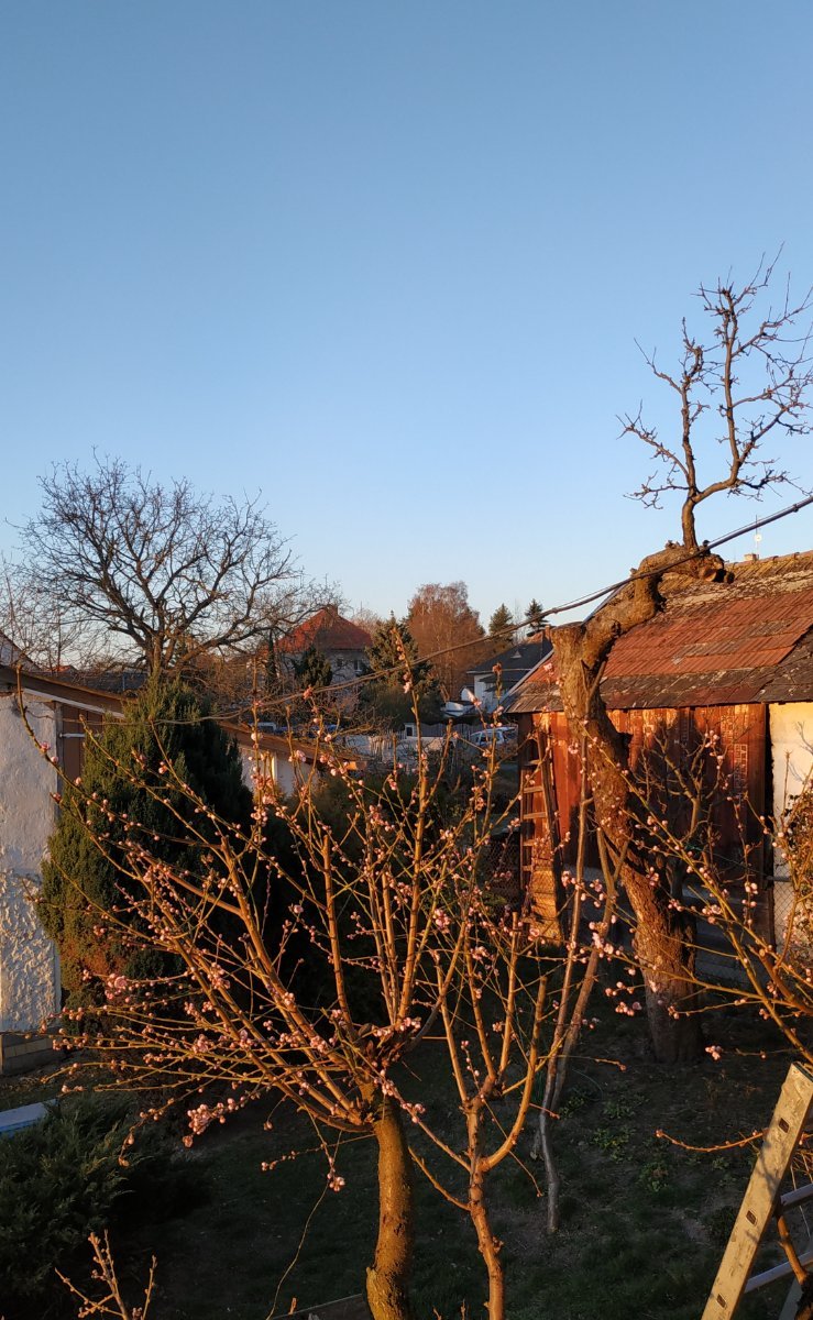 Nezbavětice