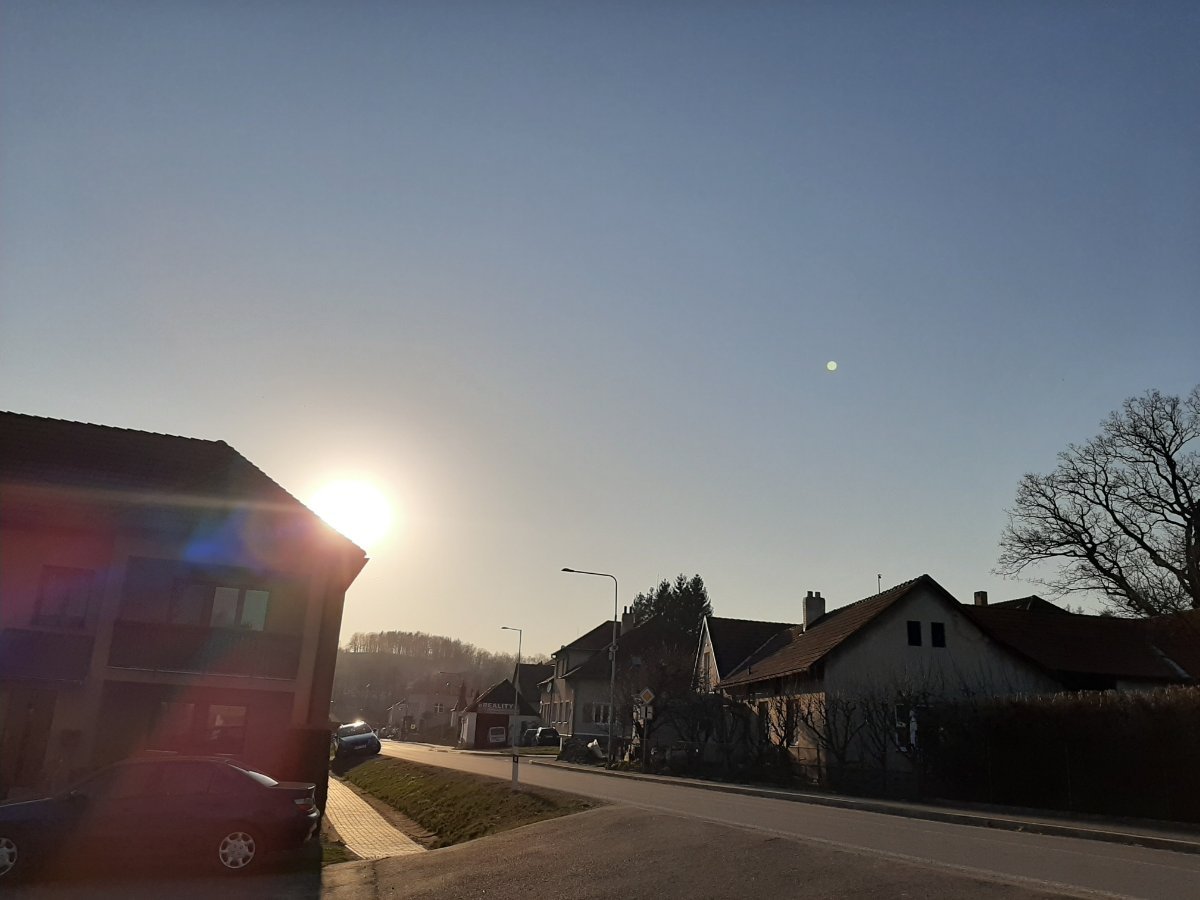 Olešná