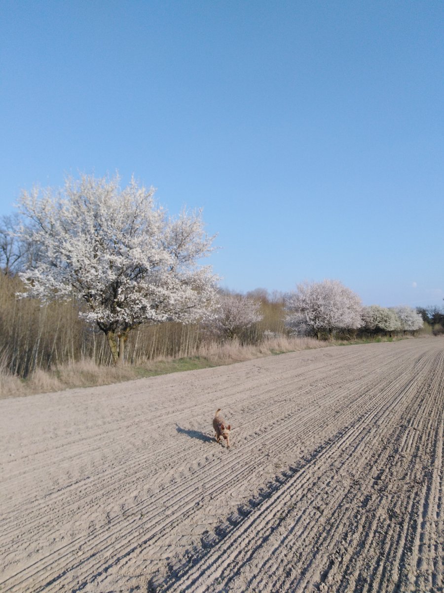 Hleďsebe