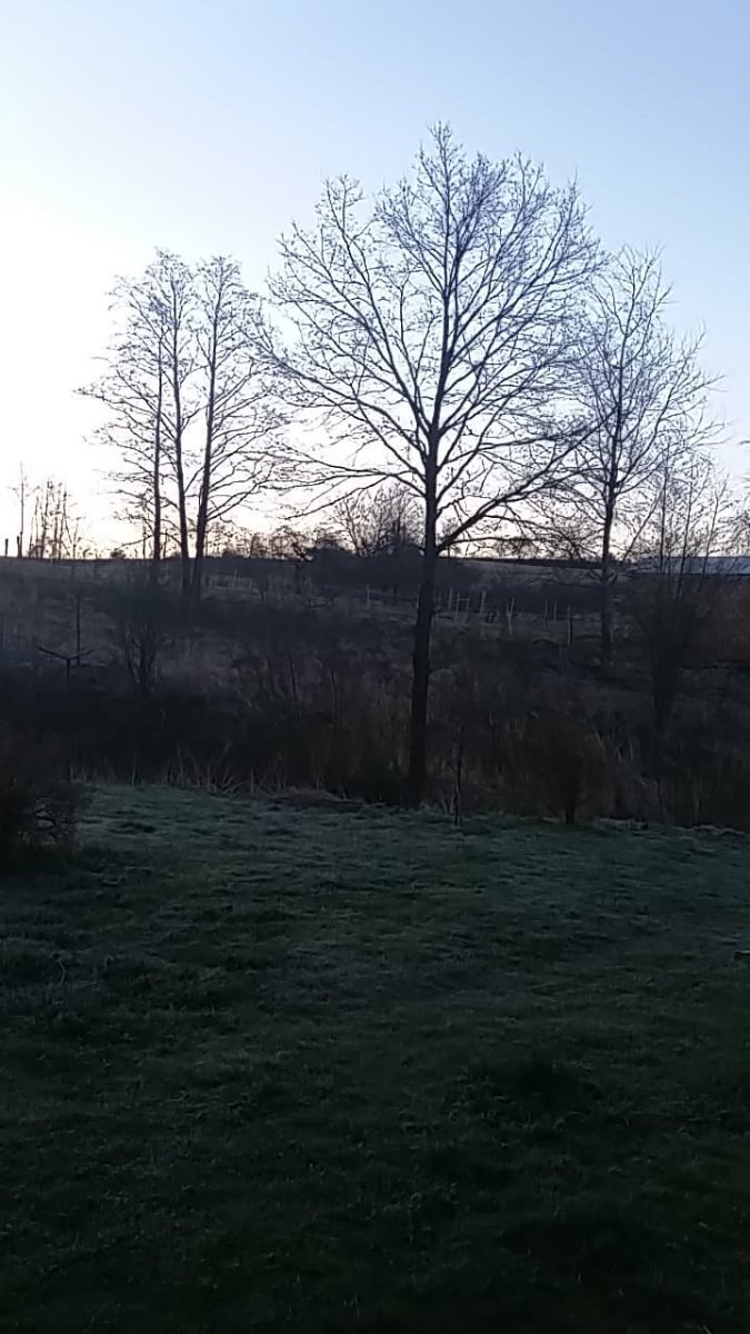 Šonov u Broumova