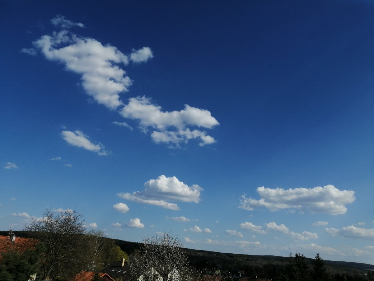 Dýšina