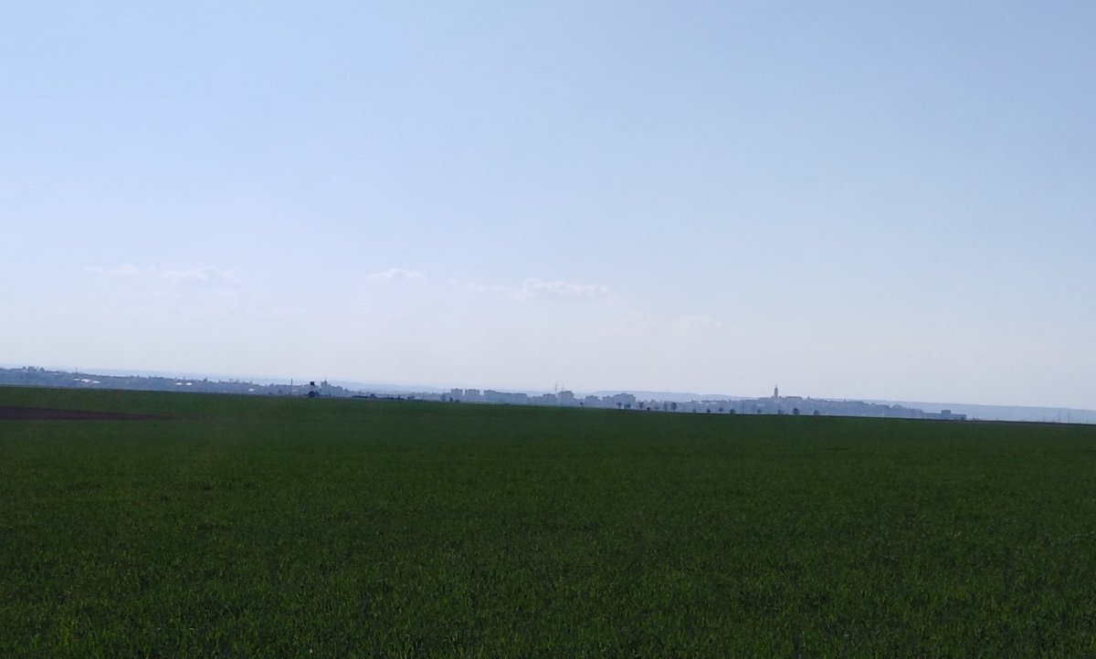 Hleďsebe