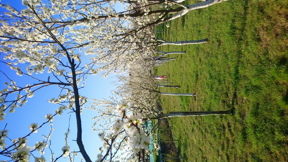 Hovorany