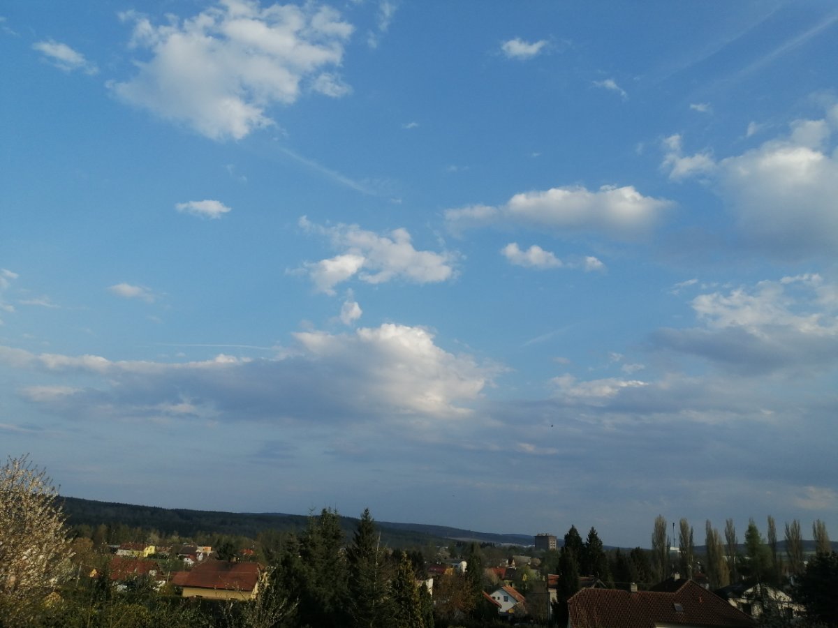 Dýšina