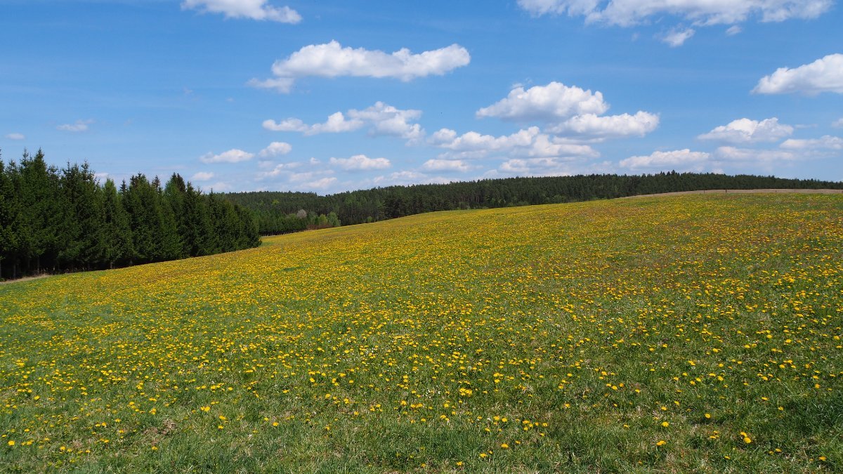 Otěvěk