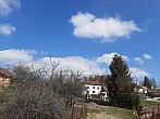 Olešná