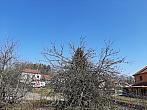 Olešná
