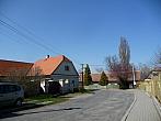 Třibřichy
