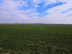 Císařov