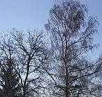 Nezbavětice