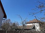 Olešná