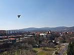 Chomutov