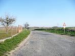 Třibřichy
