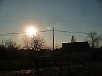 Třibřichy