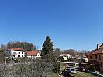Olešná
