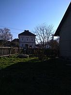 Třibřichy