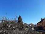 Olešná