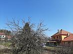Olešná