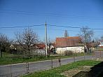 Třibřichy