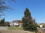 Olešná