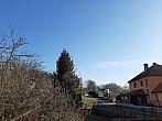 Olešná