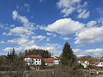 Olešná