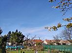 Hořice - Libonice