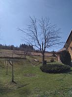 Skalité