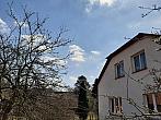Olešná