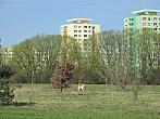 Neratovice