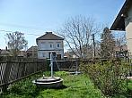 Třibřichy