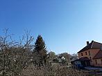 Olešná