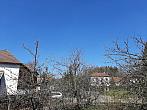 Olešná