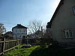 Třibřichy
