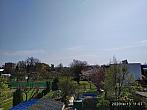 Hořice - Libonice