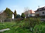 Třibřichy
