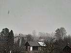 Olešná