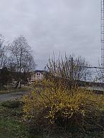 Skalité