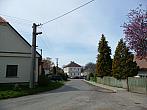 Třibřichy