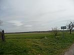 Třibřichy