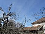 Olešná