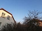Olešná