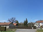 Olešná